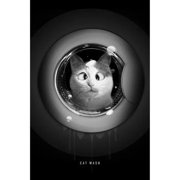 Tableau Cat Wash – Sylvain Binet